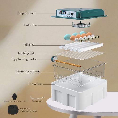 Egg Incubator for Hatching 16 Eggs|24 Quail Eggs, All-in-One Auto Incubator | Automatic Egg Turning, Precise Temperature Control, Stable Humidity Control, Adjustable Rollers for Duck, Goose, Pigeon Eggs