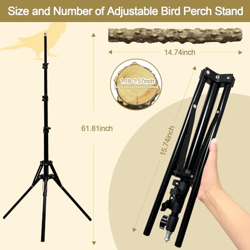 16-63 Inch Height Adjustable Bird Perch Pepper Wood Bird Training Perch Stand Parakeet Perches Indoor and Outdoor Parrot Stands for Small to Medium Bird - size: Floor Bird Perch