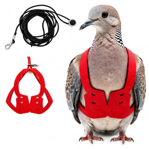 Adjustable Bird Harness & Leash Set for Small Birds,FitsBudgie,Parakeets, Conures, Cockatiels,Green Cheek,Quaker Parrots(Red, XL) 6350-11 - color: Red, size: XL,for Mourning Dove and similar size birds