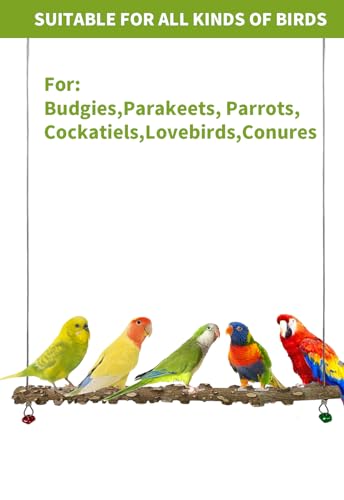 FlidRunest Bird Parrot Swing Toy, Natural Pepper Wood Bird Perch Stand, Hanging Bird Window Ceiling Swing Perch for Parrot Parakeet Conure Cockatiel Small Birds