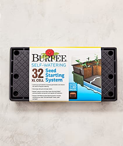 Burpee XL Self-Watering Growing System Indoor Seed Starting 10" W x 20" L x 5" H, 1 Kit (32 Cells) - color: 32 XL Cell Self Watering Kit