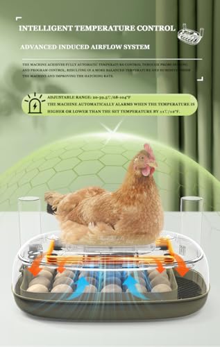 Smart Egg Incubator with Automatic Egg Turner & Built-in Candler, Stable Temperature Control, for Hatching Chicken Quail Duck Goose Eggs, 24 Eggs Capacity, External Water Refill