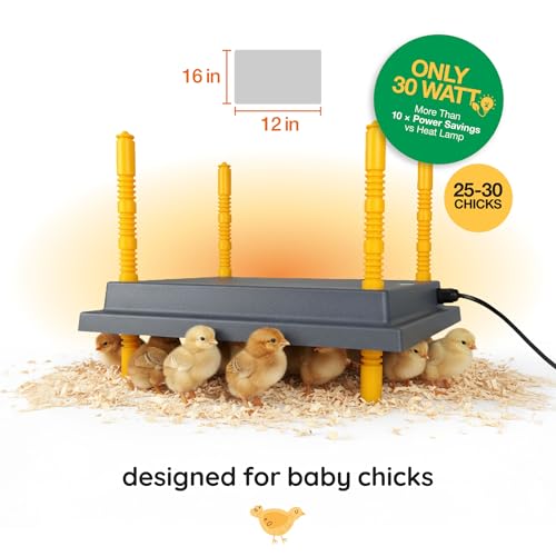 Hatching Time Warmzy 12"x16" Chick Heating Plate – Safe 30W Chicken Coop Heater for 25–30 Chicks with Adjustable Legs | Gentle Low-Heat Brooder Plate for Chicks, Durable Fire-Resistant Chicken Heater - size: 12" x 16" for 25–30 Chicks