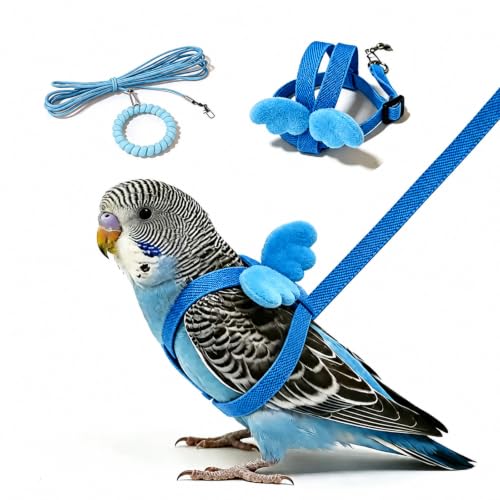 Pet Parrot Bird Harness and Leash, 2m Adjustable Polyester Rope with Cute Wing, Bird Flying Harness for Parrots, Pigeons, Budgerigars, Lovebirds, Cockatiels Outdoor Use - color: Blue, size: S