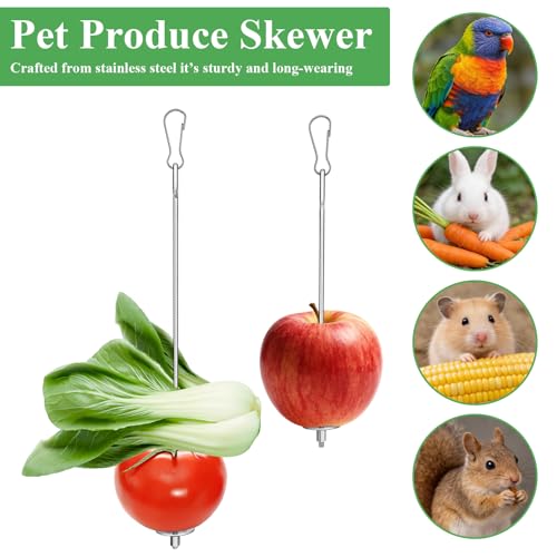 4PCS Bird Cage Food Holder, Stainless Steel Bird Feeder for Cage with Hook, 22cm/17cm Parrot Fruit Skewers, 2 Sizes Hanging Foraging Toy for Macaw Parakeet Parrot Budgie