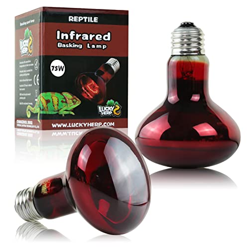 LUCKY HERP 75W Reptile Heat Lamp Bulbs 2 Pack, Reptiles & Amphibians Infrared Basking Spot Lamp, Heat Light Bulb for Turtle, Bearded Dragon, Lizard - color: Infrared Basking Light Bulb, size: 75 Watts