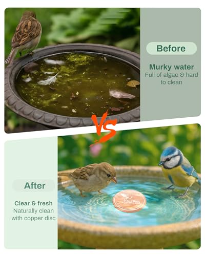 OICEME Bird Bath Purification Disk Pure Copper Outside Solar Power Women Wild Hanging Bowl Metal Hummingbird Cleaner Pedestal Outdoor Feeder Warmer Humming Cage Dispenser Gifts - color: Gold 2 PCS Bird&Butterfly