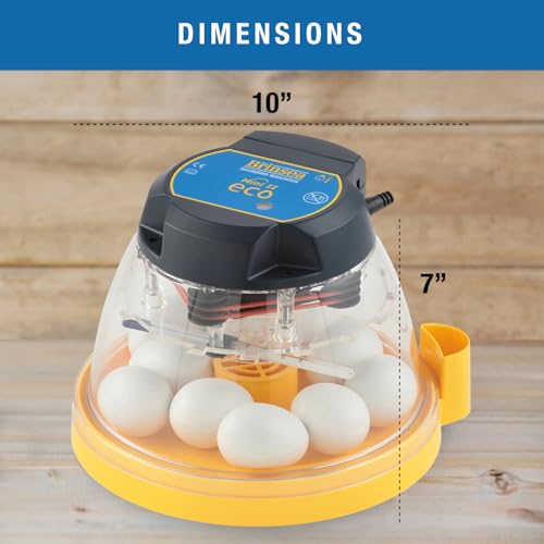 Brinsea Mini II Eco Manual Egg Incubator, Easy to Use Controls | Beginner-friendly, Brinsea-built with 50+ years of proven quality, External Water Top-Up, Fan Helps Air Circulation for Hatch - style: 10 Eggs