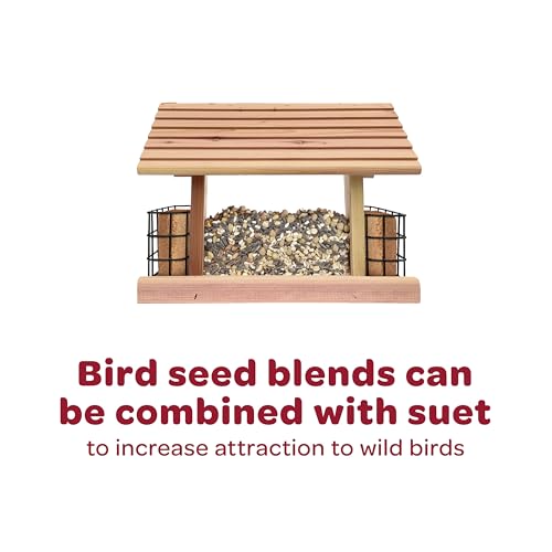 Kaytee Southern Regional Wild Bird Blend, 7-Pound Bag - size: 7 Pound (Pack of 1), style: Southern