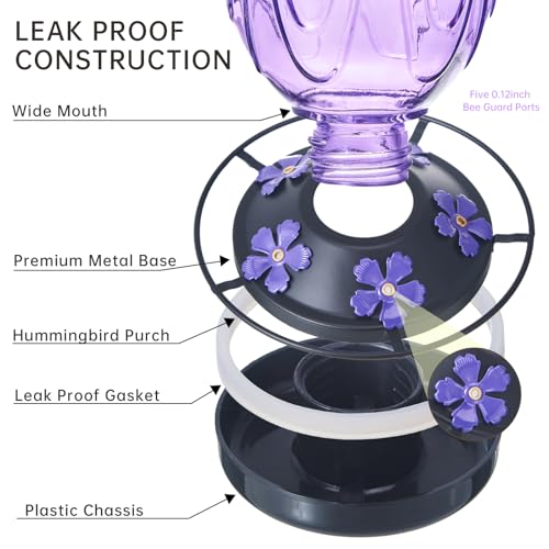 Glass Hummingbird Feeder for Outdoors Hanging,24Ozs Humming Bird Nectar Feeder Perch,5 Flower Feeding Ports, Leak Proof Base and Hook for Outside Garden Backyard Decor, Gifts for Women Mom,Purple - color: Purple