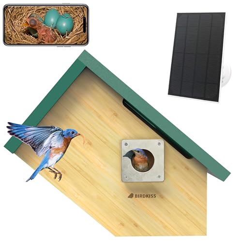 Smart Bird Houses for Outside Solar Powered, 1080P HD Live View Birdhouse with Camera, Perfect Viewing Bird Nesting and Hatching, Ideal Outdoors Bird House for Blue Bird and Cardinal (Green) - color: Green