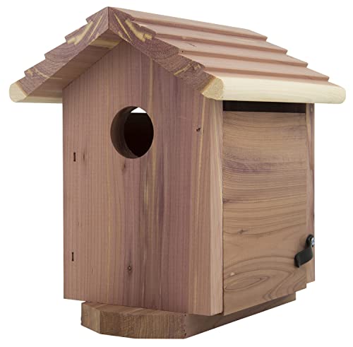 Pennington Pride Cedar Birdhouse for Outdoor, 1 Adult, 3-4 Babies | Birdhouses for outdoors, side opens for cleaning, ventilation and drainage openings, hanging hardware included - size: Holds 1 Adult, 3 - 4 babies