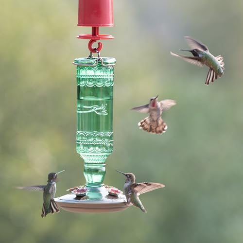 Perky-Pet Glass Bottle Hummingbird Feeder - Outdoor Garden Décor Humming Bird Feeder,8108-1SR - 10 Fl Oz Nectar Capacity - Durable Green Antique Design - Hang from Tree,Porch,Deck,Hook,(Pack of 6) - style: Green Bottle (Pack of 6)