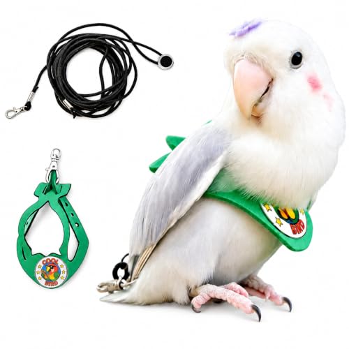 Adjustable Bird Harness & Leash Set for Small Birds,FitsBudgie,Parakeets, Conures, Cockatiels,Green Cheek,Quaker Parrots(Green, XS) 6350-6 - color: Green, size: XS,for Lovebirds and similar size