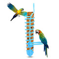Millet Holder for Bird Cage Parrots Feeder Basket Feeder | Bird Cage Treat Holder for Fruit and Vegetable Milet Containers, Pet Birds Hanging Foraging Toys (Blue)