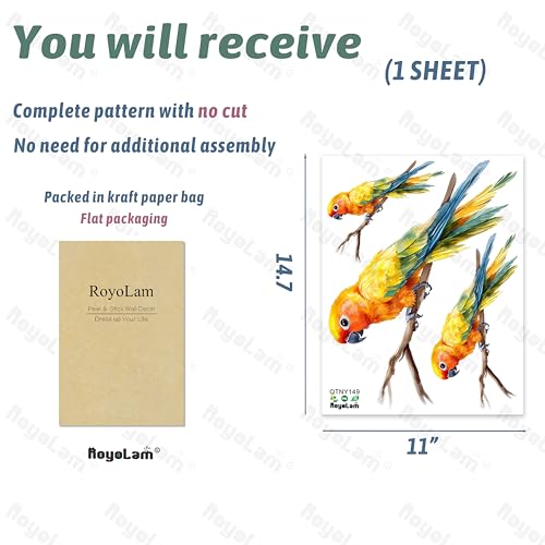 Colorful Parrot On A Branch Bird Wall Decal Animal Wall Sticker | Removable, waterproof, vinyl peel and stick wall art for nursery, baby room, classroom, preschool, living room, and playroom