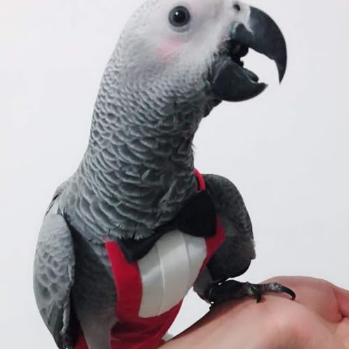 QBLEEV 2 Pack Bird Diapers, Reusable Cockatiel Tuxedo Flight Suite Costume | Parrot nappy clothes for wedding party birthday cosplay photo, pigeon pants urine wet suit for conure macaw budgies parakeet - size: S