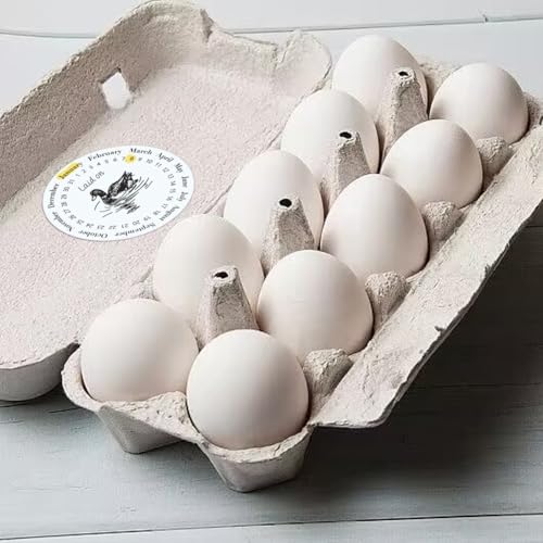 320 Pcs Duck Egg Laid on Stickers, 2 Inch Round Farm Fresh Eggs Sticker Round Eggs Stickers PET Adhesive Egg Packaging Sticker for Box Container Carton Farm Supplies - color: Duck Eggs