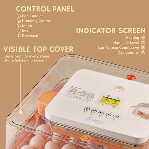 iPettie ProHatch56 Egg Incubator for Hatching Eggs with Automatic Egg Turning & Humidity Temperature Control, 56 Eggs Capacity for Chicken Eggs, Duck Eggs, Quail Eggs, Temperature Alarms