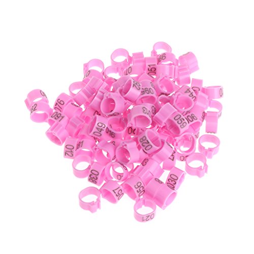 100 Pcs Chicken Bird Leg Rings Colorful Turkey Identification Leg Bands Poultry Leg Bands Clip for Pigeons Birds 10mm