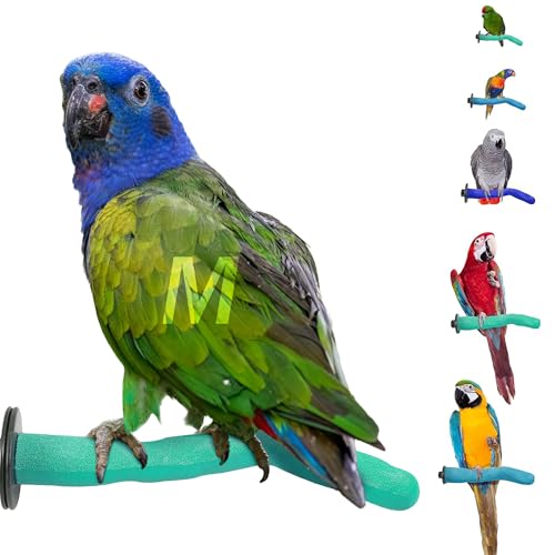 Sweet Feet and Beak Safety Pumice Bird Perch, Medium Pedicure Perch, Green | Plastic Bird Nail Trimming Perch, Pumice Coated Surface for Healthy Feet and Beak, 9" Lightweight Perch, Available In 5 Sizes - color: Green, size: Medium 12"