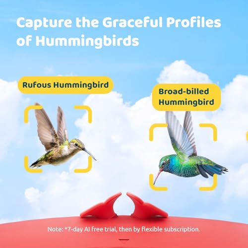 Smart Hummingbird Feeder with Camera, Auto Detect Record Bird Video, Instant Notification, Live View, Solar Powered Hummingbird Feeders for Outdoors Ant Bee Proof, 14oz, Gift for Bird Lovers
