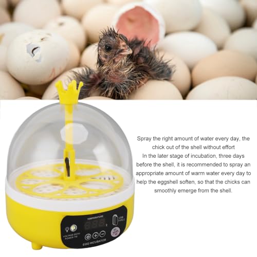 Luqeeg Mini Egg Incubator, Temperature Control Digital Incubators, 4 Eggs Candler Poultry Hatching Machine Eggs Poultry Hatching Machine for Chickens Ducks Pigeons (Auto Turning)