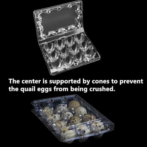 Honkenda Clear Plastic Quail Egg Cartons, 12 Tray Small Eggs Carton Holders Container, PVC Stackable Egg Storage Box with Hinge Lid, 12 Grids Egg Protection Box for Pheasant Pigeon (50 Pack)