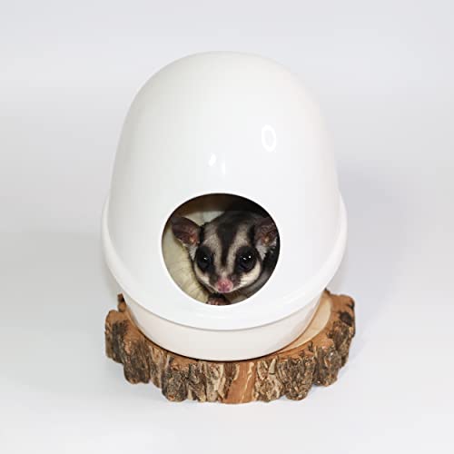 Press 'N' Slide Feed Station - Durable Mounted Food Bowl Dish - Sugar Gliders, Squirrels, Prairie Dogs, Degus, Marmosets, Parrots, Birds, Rats, Hamsters, Gerbils & Other Small Pets… (with Dome) - size: With Dome