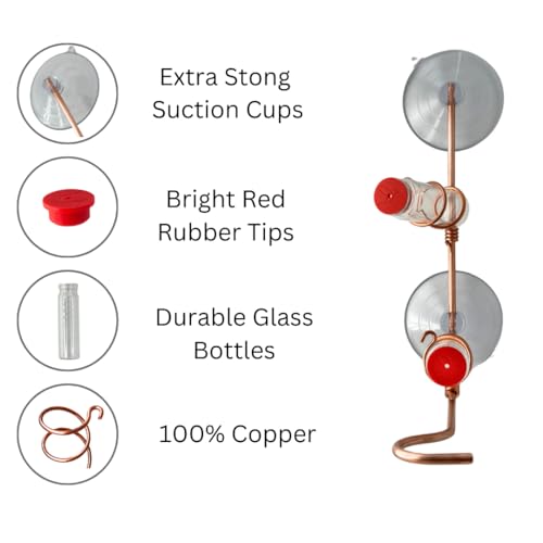 Window Hummingbird Feeder | Handcrafted Copper and Aluminum | Multiple Stations | Modern Hummingbird Feeder | Home Décor | Glass Bottles | Suction Cups (Copper, Two Station) - size: Two Station - Standard Perch