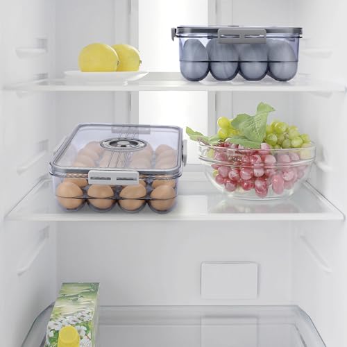 BTSKY Premium Plastic Egg Holder for Fridge - 24 Egg Refrigerator Container, Organizer with Time Reminder and Lid - size: Large-hold 24 eggs