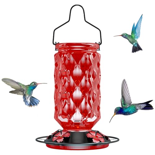 24OZ Glass Hummingbird Feeders for Outdoors Hanging,Five Feeding Ports with Perch, Leak Proof for Gardens Decor Backyard, Bird Feeder for Outside, Birthday Gifts for Women Men, Gifts for Mom Dad - color: Red