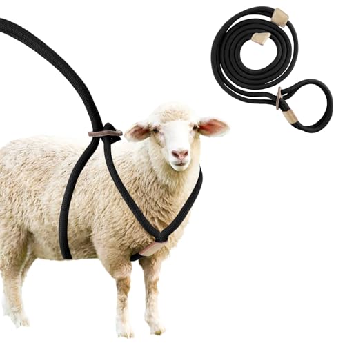 Goat Harness For Walking - Washable Goat Leash And Accessories - Livestock Supplies - color: Black