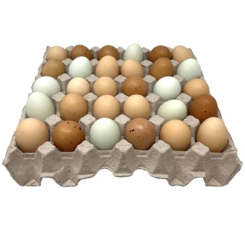 Paper Pulp Egg Trays, 20 Count (Pack of 3) - size: 11.5 x 11.5 x 2 inches (Pack of 3)