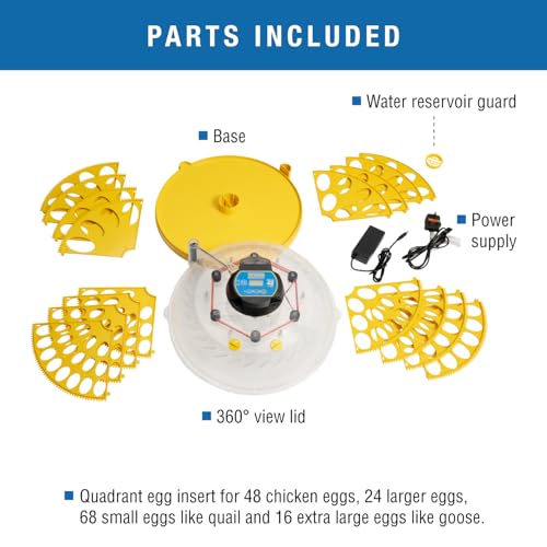 Brinsea Maxi 48 EX Egg Incubator with Automatic Turning & Humidity Control | 50+ years of trusted precision! Built-in automatic humidity, auto-turn & temp alarms take the stress out of hatching 48+ eggs