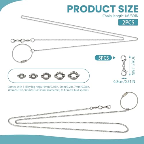 LELE LIFE 2 Pack 39in Bird Leash with 5 Sizes Ankle Rings, Stainless Steel Anti-Bite Parrot Bird Harness Flying Toy Training Chain Leg Rope Outdoor Parrot Alloy Foot Ring