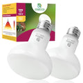 Reptile Heat Lamp Bulbs, Simulate Natural Sunlight Heat Light Bulb, 2 Pack 100W Amphibian Terrarium Basking Spot Lamp for Reptile, Bearded Dragon, Lizard, Turtle, Snake - color: Basking Bulb, size: Basking (2*100)
