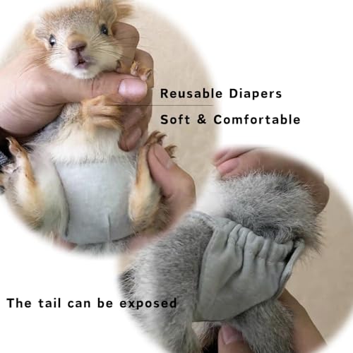 2 Pcs Squirrel Diapers- Reusable Washable Squirrel Diapers Absorbent with Strong & Flexible Pants for Squirrel,Fancy Rat,Groundhog Guinea Pig Small Sugar Glider (M)