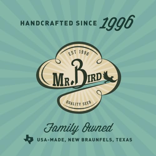 Mr. Bird Bugs, Nuts & Fruit Wild Bird Seed Bell, 2-Pack, 12.5 oz | Premium Blend of Mealworms, Sunflower Hearts & Cranberries | No Melt | Handcrafted in Texas - size: 12.5 Ounce (Pack of 2)