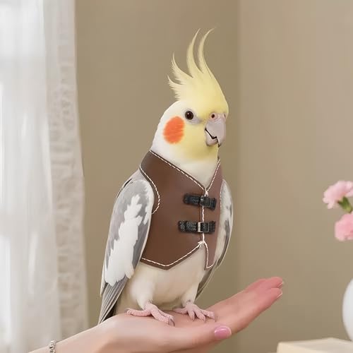 Bird Clothes, Parrot Leather Jacket, Bird Costume Cosplay Photo Prop, Parrot Apparel for Eclectus, Budgerigar, African Greys Parakeet, Conure, Cockatiel, Love Birds-Cowboy Style,Brown,L - color: Brown, size: Large