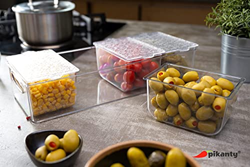 Pikanty Condiment Server Tray with 4 Removable Containers and Lids - Taco Bar, Pizza Bar, Burger Bar, Salad Toppings Organizer with Carry Handles, Dishwasher Safe, Made in USA - style: Condiment Server Large