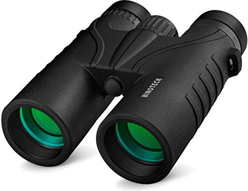 10x42 Binoculars for Adults - Professional HD Roof BAK4 Prism Lens Binoculars for Bird Watching, Hunting, Travel, Sports, Cruise, with Carrying Bag (1.1Lbs) - style: New Model