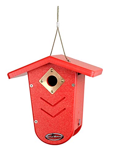 Recycled Moraine Bird House Nest Box for Wrens & Chickadees (Red/Red) - color: Red/Red