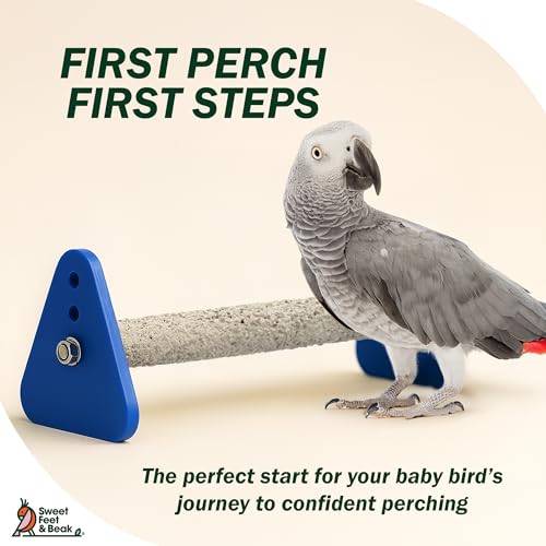 Sweet Feet and Beak Baby Weaning Stand, Large Training Bird Perch | 3 Adjustable Heights, Training & Play Stand, Easy to Clean, Handmade in USA, For Baby Finches, Canaries & Small Budgies - size: Large