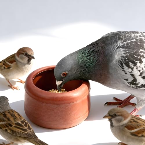 2 Pack Pigeon Plastic Feeder Bird Food Cup Feeding Bowl for Small Bird Pigeon Parrot Cockatiel Parakeet Conure Finch Chicken