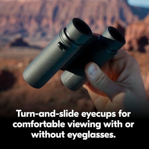 Nikon Trailblazer II 8x25 | Ultra-Compact Waterproof and Fogproof Travel Binoculars with Multilayer-Coated Optics and Rubber-Armored Body | Ultra-Compact Waterproof, fogproof Travel Binoculars, multilayer-Coated Optics, rubber-Armored Body