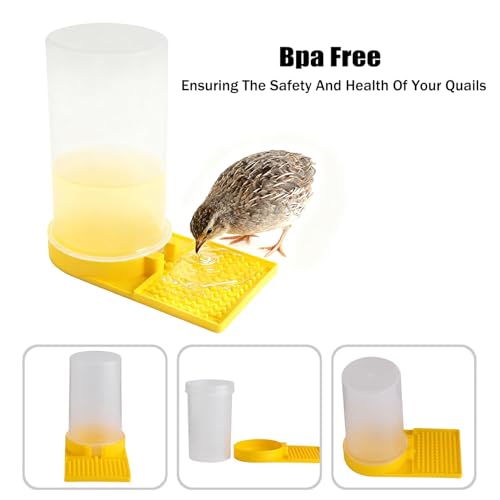 Large Capacity Quail Water Feeder, Quail Feeder, Baby Bird Button Quail Yellow Water Feeder, for Cage, Baby Chick Waterer, Ideal Feeders for Baby Bird