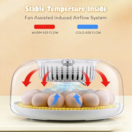 Sailnovo 18 Egg Incubator for Hatching Eggs with Automatic Egg Turning | Humidty Display, Temperature Control,360° Clear View, Egg Incubator for Hatching Chickens,Duck,Quail Ideal for Farm,School - color: Grey-Yellow, size: Hatch 18