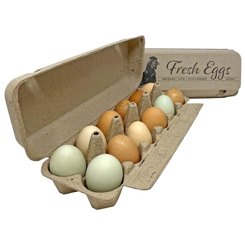 Fresh Eggs Flat Top Paper Egg Cartons - 50 Pack