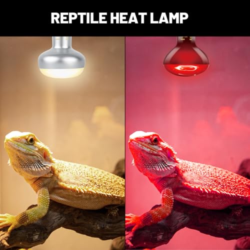 Reptile Dual Lamp Fixture Heat Lamp Bulb Combo Pack,100W UVA Daylight Reptile Heat Lamp and 100W Infrared Reptiles Heat Blub Basking Spot - style: DRL01ST3